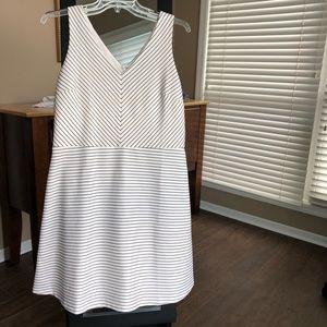 loft size 14 dress